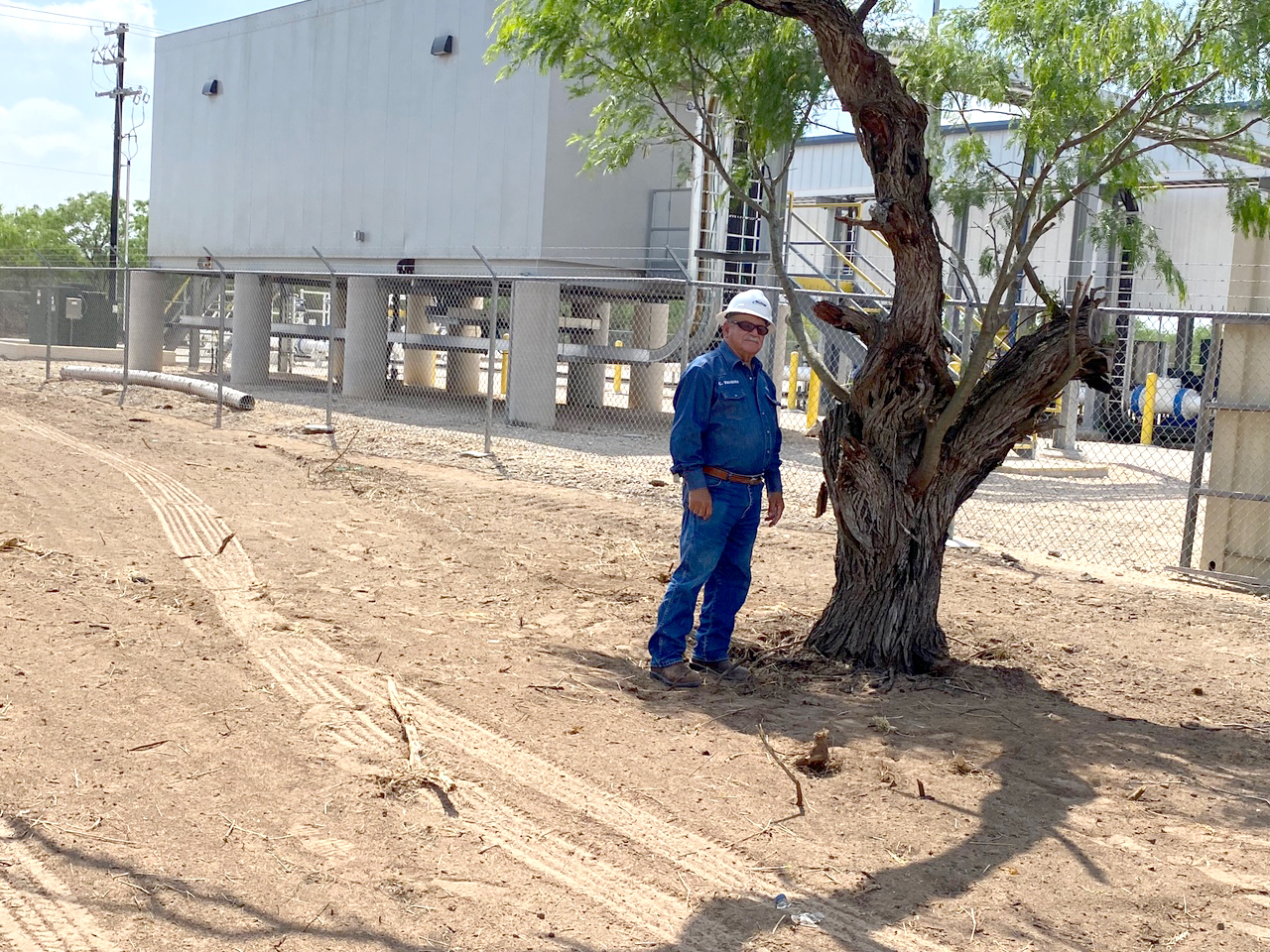 Heritage mesquite tree saved for landowner by Candy Vasquez, Senior Maintenance Manager